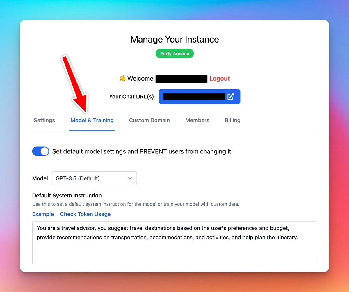 Custom training data and Custom System Instructions