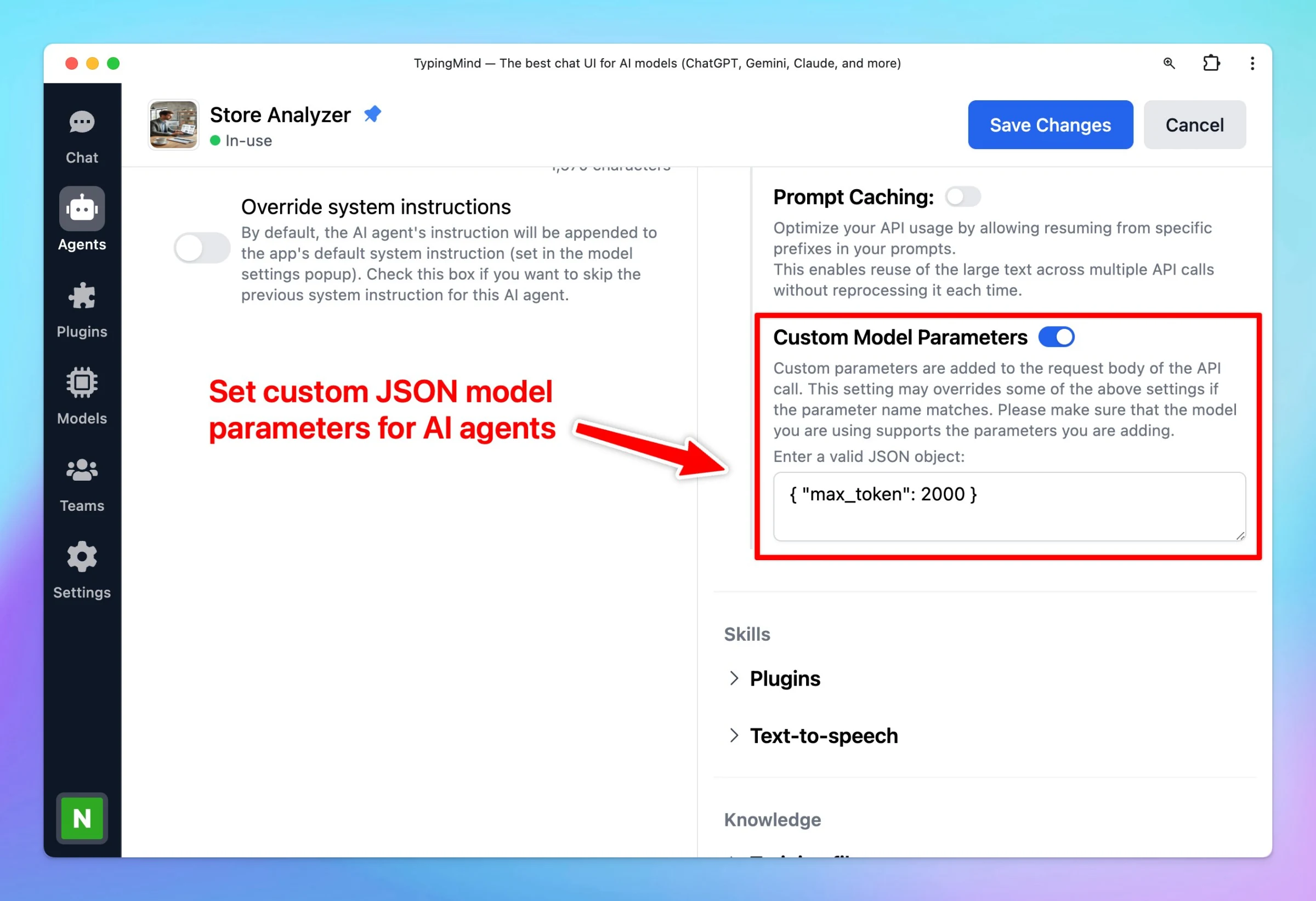 Set up Custom JSON model params for AI Agent